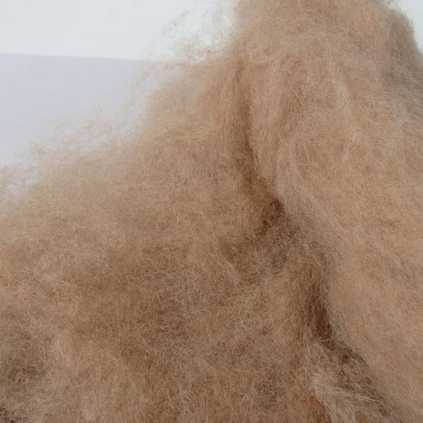 10g Naturally Dyed Walnut Brown Llanwenog Felting Wool