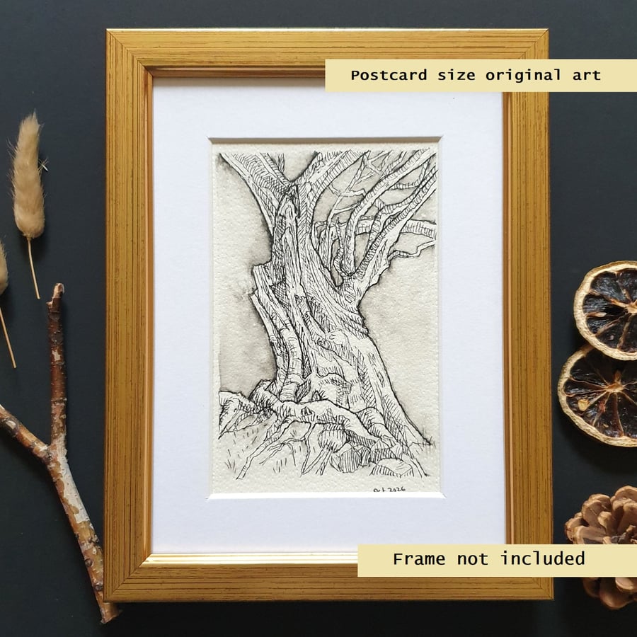 Tree Study No 1, pen and ink drawing, original drawing, letterbox gift