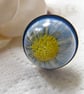 Real Daisy Flower Ring Nature Specimen Wearable Art - Daisy - One Size - Image 1