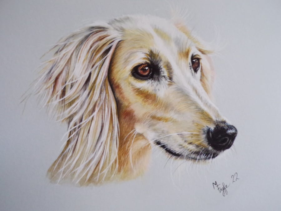 Giclee print of Saluki