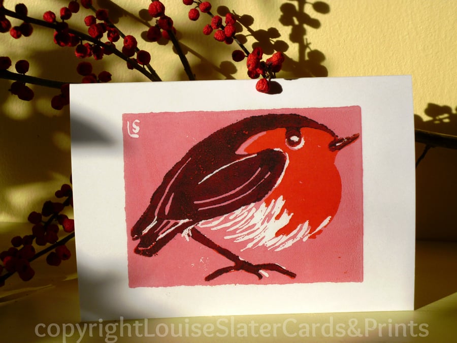 Christmas Robin - Pink Background Pk of 5
