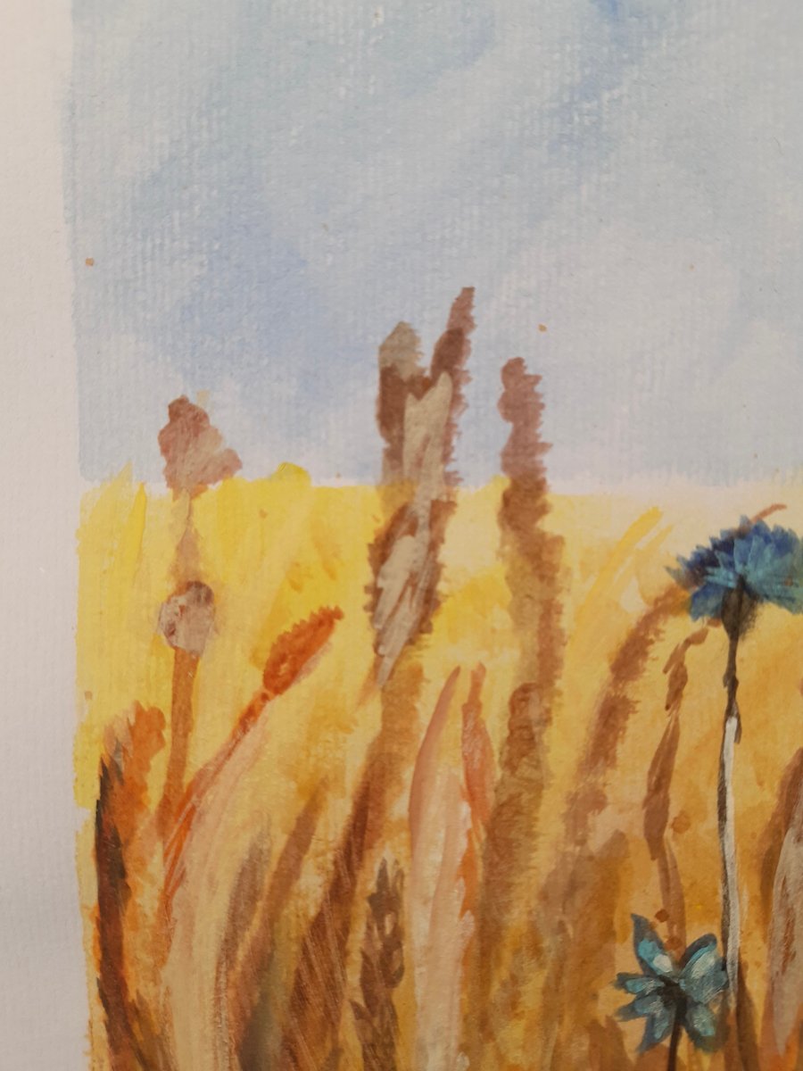 Watercolour painting Wild Corn