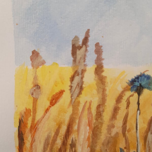 Watercolour painting Wild Corn