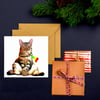 Cat Greeting Card, Funny