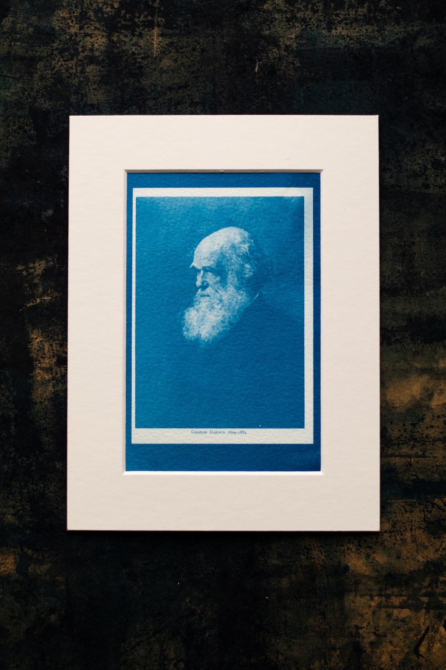 Charles Darwin Cyanotype Mounted Print