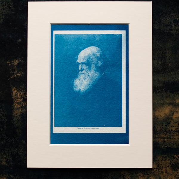 Charles Darwin Cyanotype Mounted Print