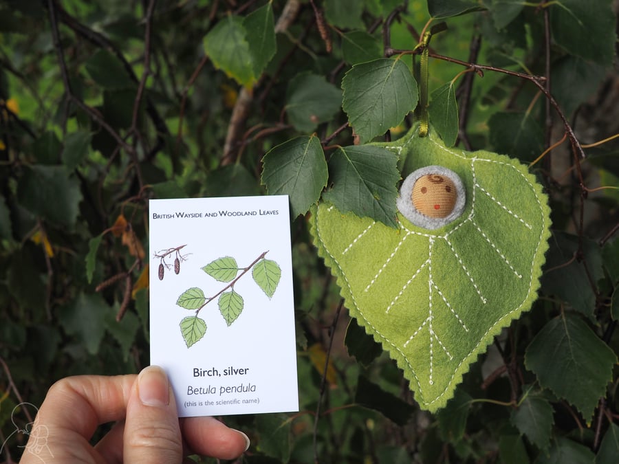 Birch baby doll - nestled in a wool felt pod shaped like a leaf
