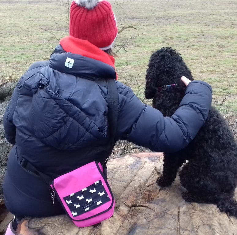 Bertie Woofster and Me