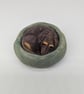 Yorkshire Pudding - Brown & Tan Dachshund - Image 2