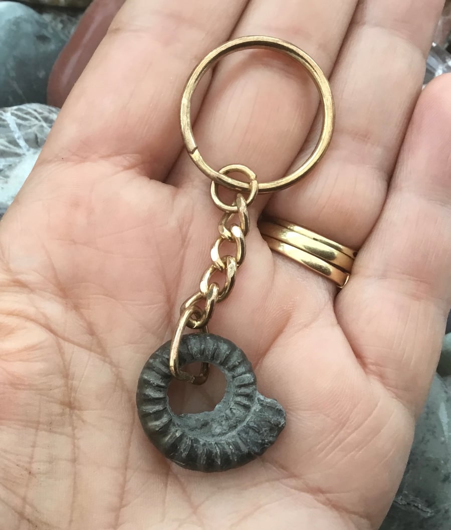 Large Perforation Pyrite Ammonite Fossil Keyring or Handbag Charm.