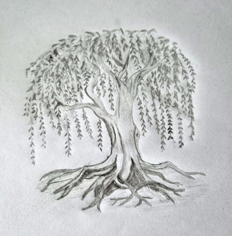 Willow3ddesignstudio