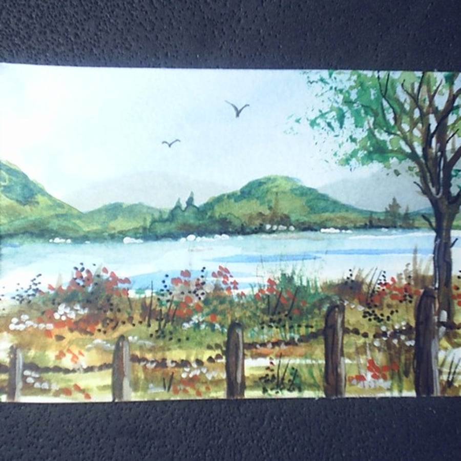 ACEO landscape