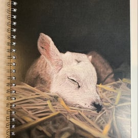 Rest Little One, Lamb Notebook, Sketch