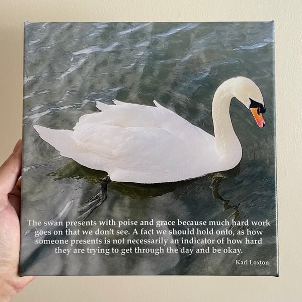 Canvas print of Swan 10" by 10" by Karl Loxton, "Poise and grace"