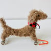 Scruffy Dachshund on Wheels - Handmade Miniature Dog