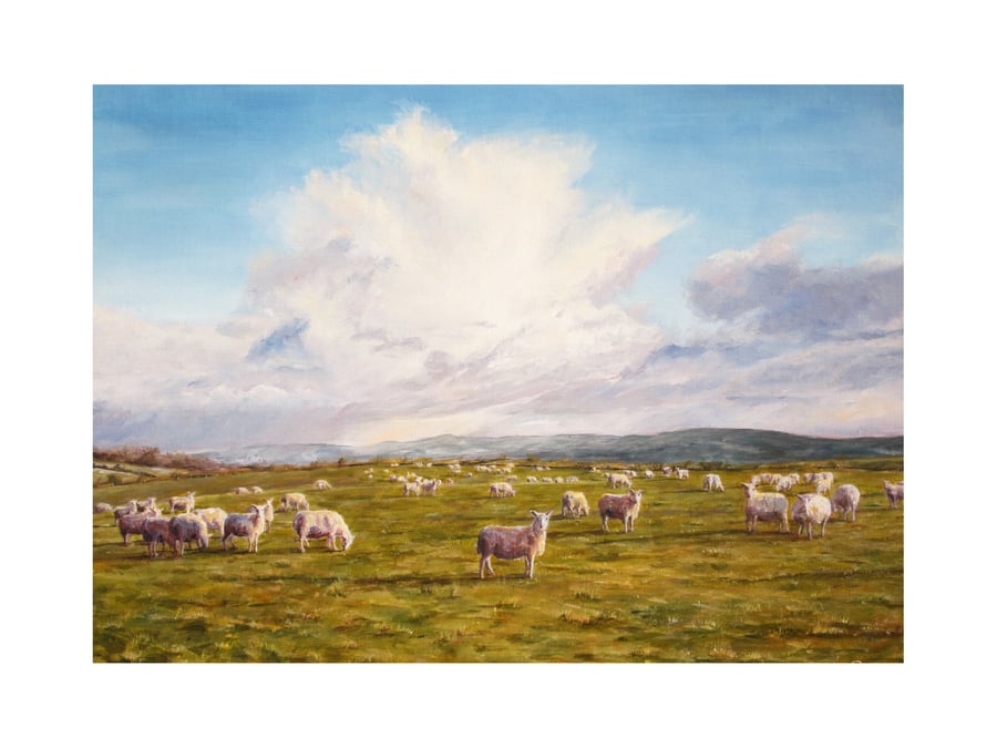SHEEP Greeting Card - Rural Landscape Fine Art Card - Welsh Countryside Card