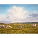 SHEEP Greeting Card - Rural Landscape Fine Art Card - Welsh Countryside Card