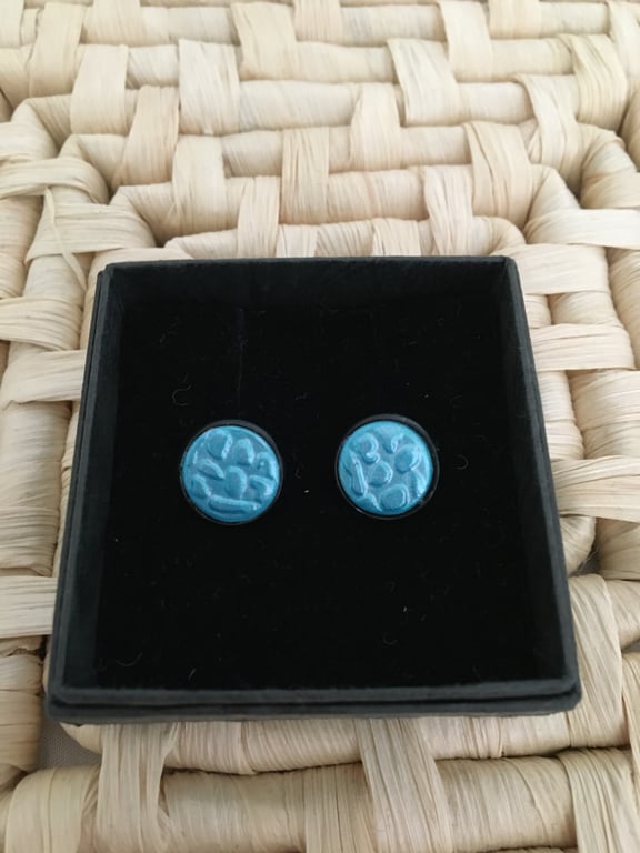 Aqua and Black Stud Earrings 