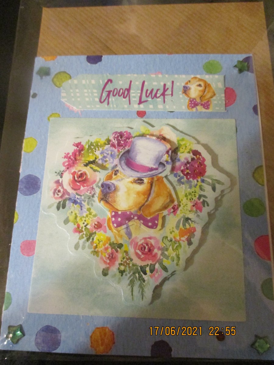 Good Luck Wedding Card