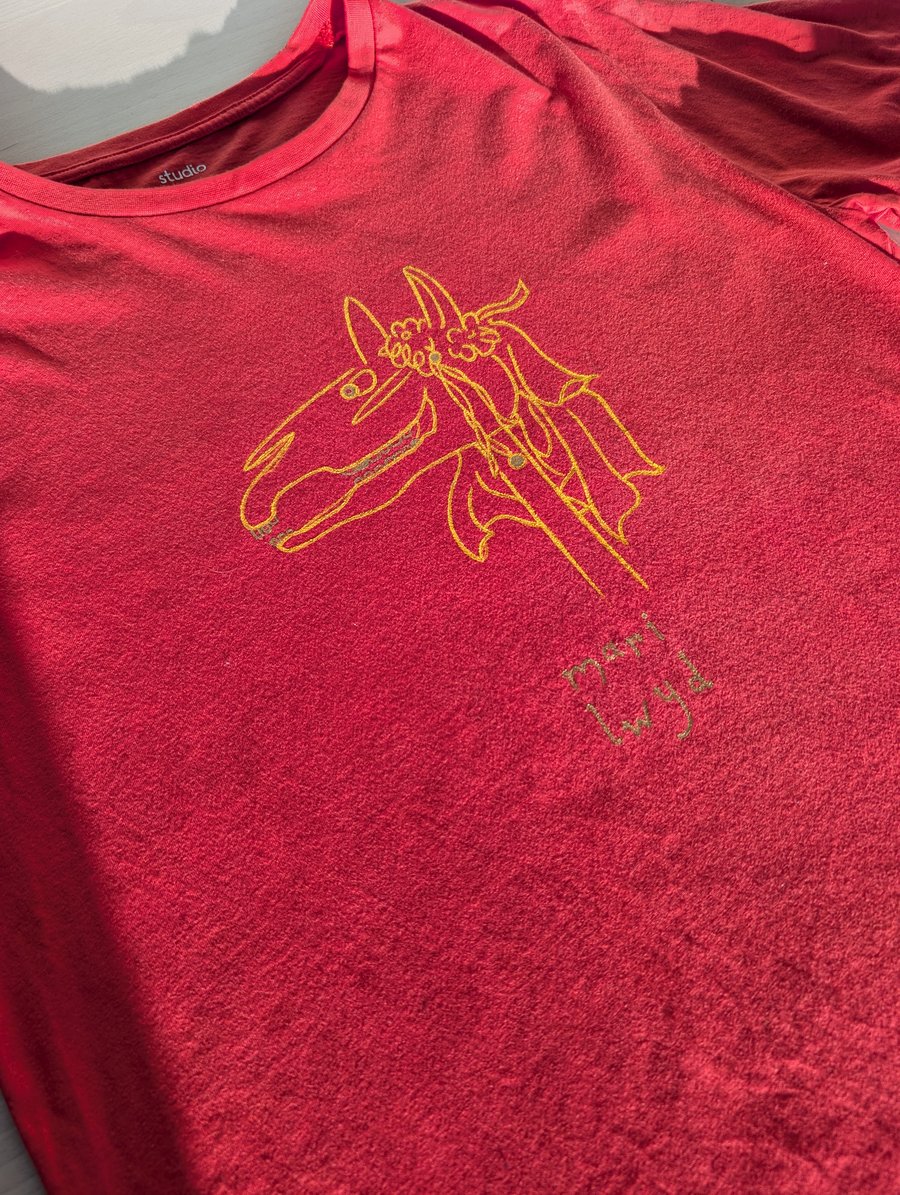 Unique hand-painted upcycled Mari Lwyd t-shirt