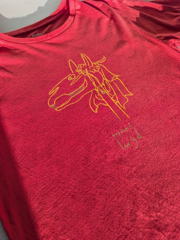 Unique hand-painted upcycled Mari Lwyd t-shirt