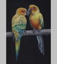 Parakeets Original Coloured Pencil Bird Drawing - Image 3