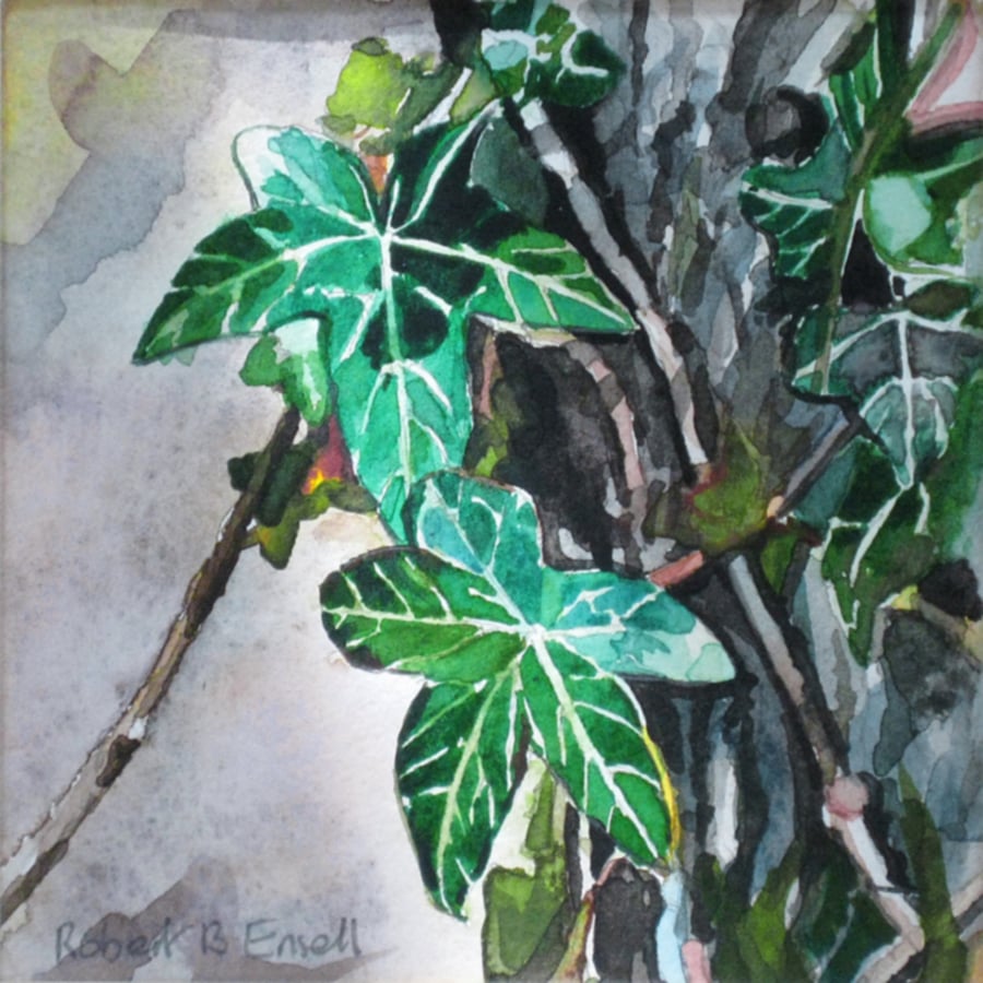 Ivy on tree trunk. Original watercolour.