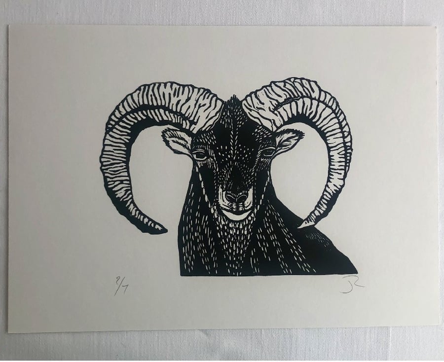 Black Ram