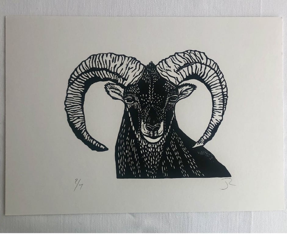 Black Ram
