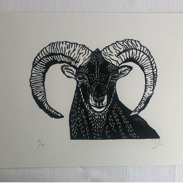 Black Ram