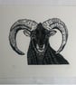 Black Ram - Image 1