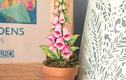 Gift for Gardeners