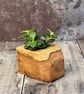 Plant Holder made from beautiful up-cycled wood - Image 2