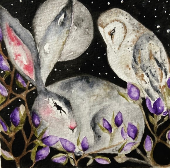 Mounted Original Testing Hare Rabbit with Owl in Moonlight Watercolour 