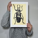 Screen Printed Insect Poster – ‘Metamorphosis (Medium – Gold Dots)’