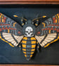 Death's Head Moth - 3D Artwork 