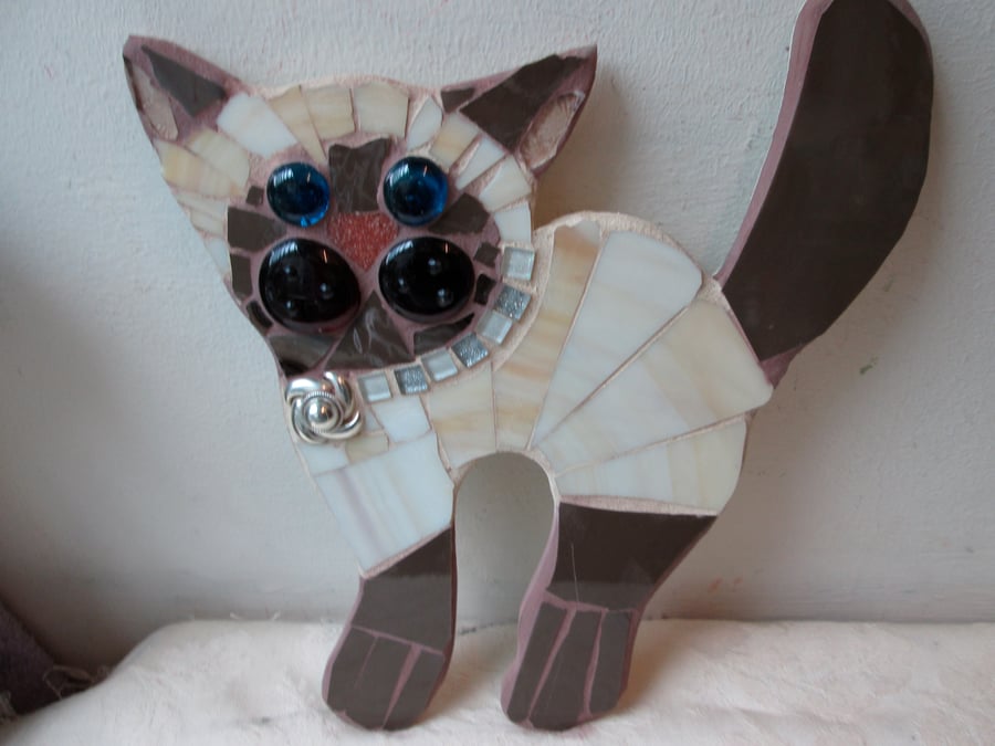 Mosaic Siamese cat
