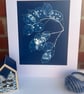 Seed Pods captured in Cyanotype, Gift for gardner, Original wall art. - Image 5