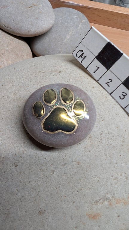Paw Print Stone