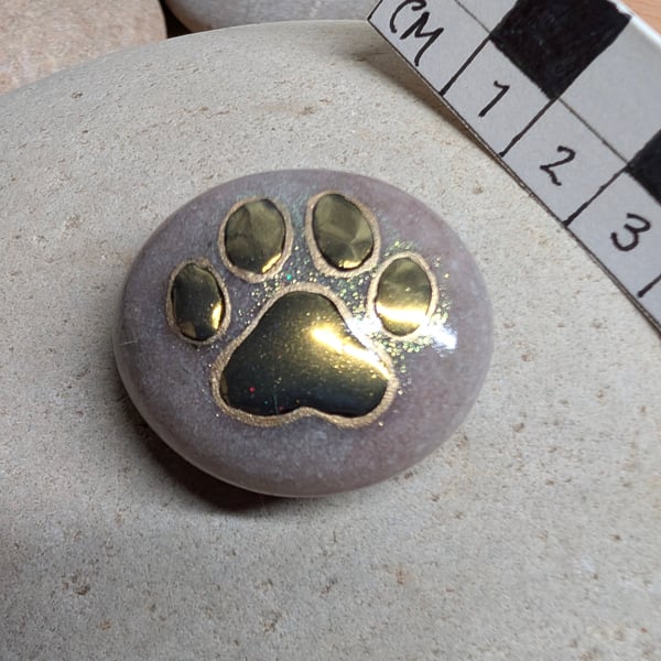 Paw Print Stone