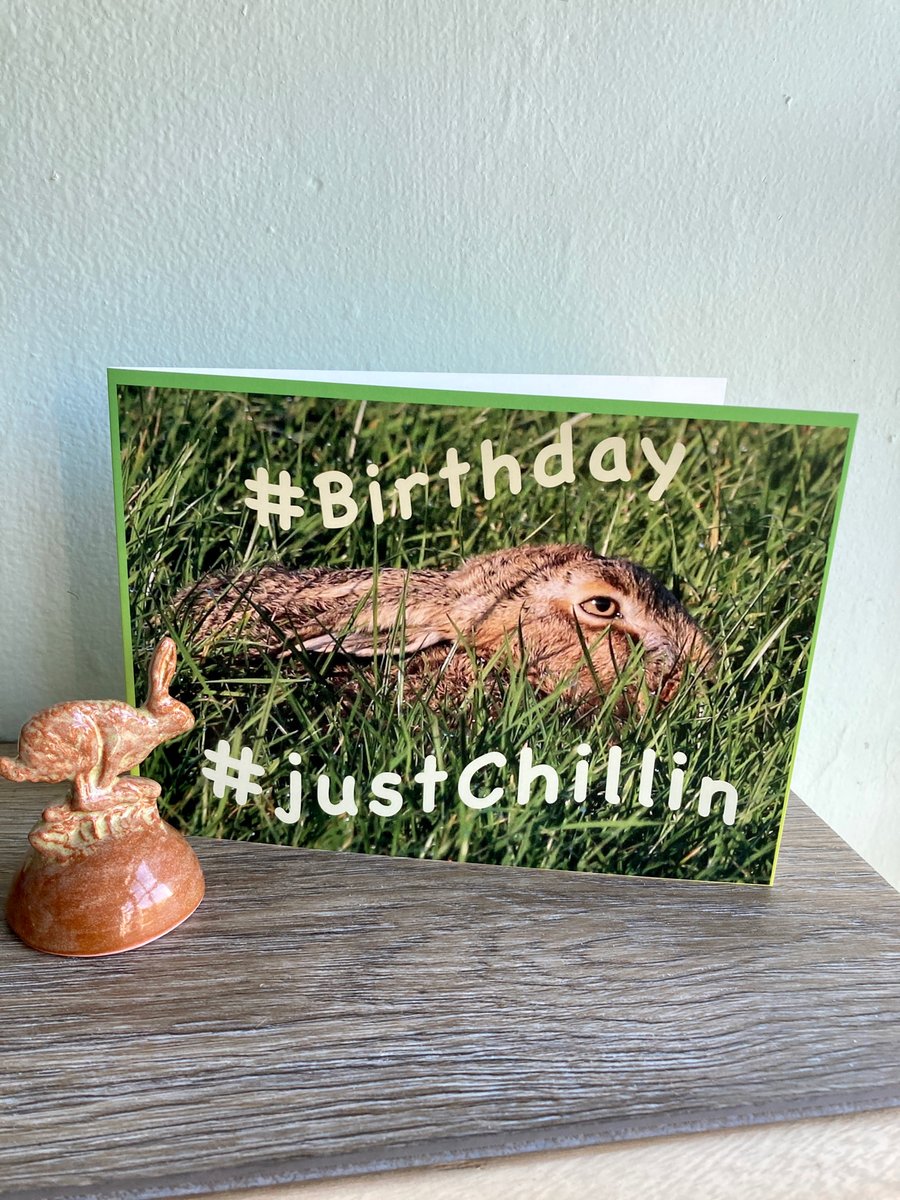 Hare Photo Birthday Card