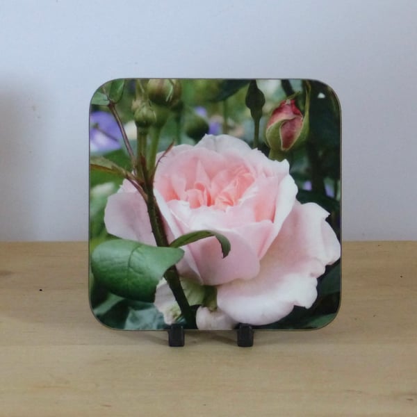 Photo Coaster - Pink Rose