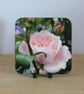 Summer Seconds - Photo Coaster - Pink Rose - Image 1