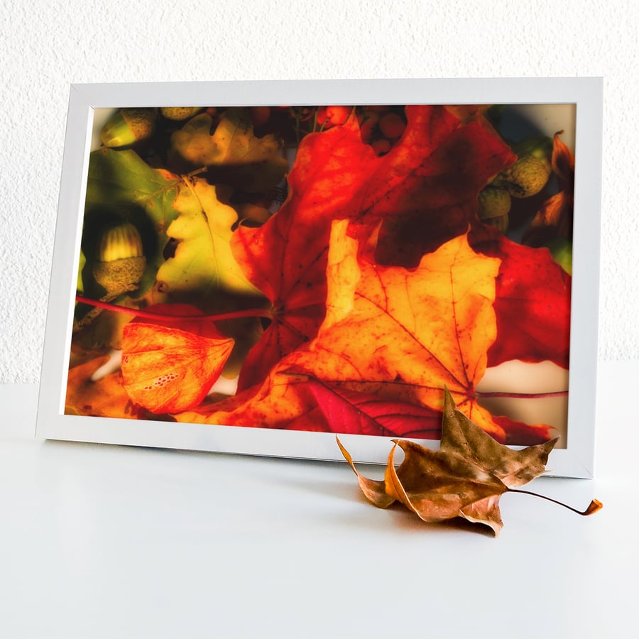 Autumn Display - Print in A4 or A3 Mount (2 of 2)