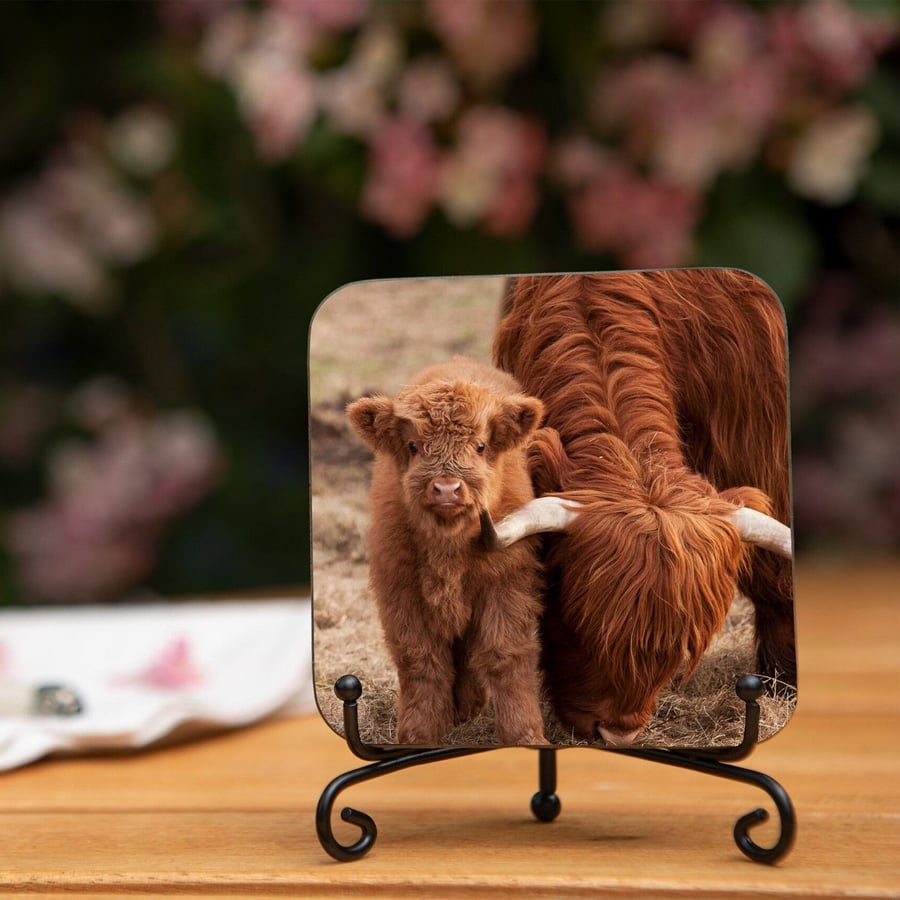 Highland Cow and Calf The Wee Man Wooden Coaster - Original Scottish Animal Phot