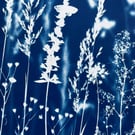 In The Wild 1
