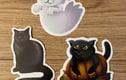 DuffleCat Gift Sets