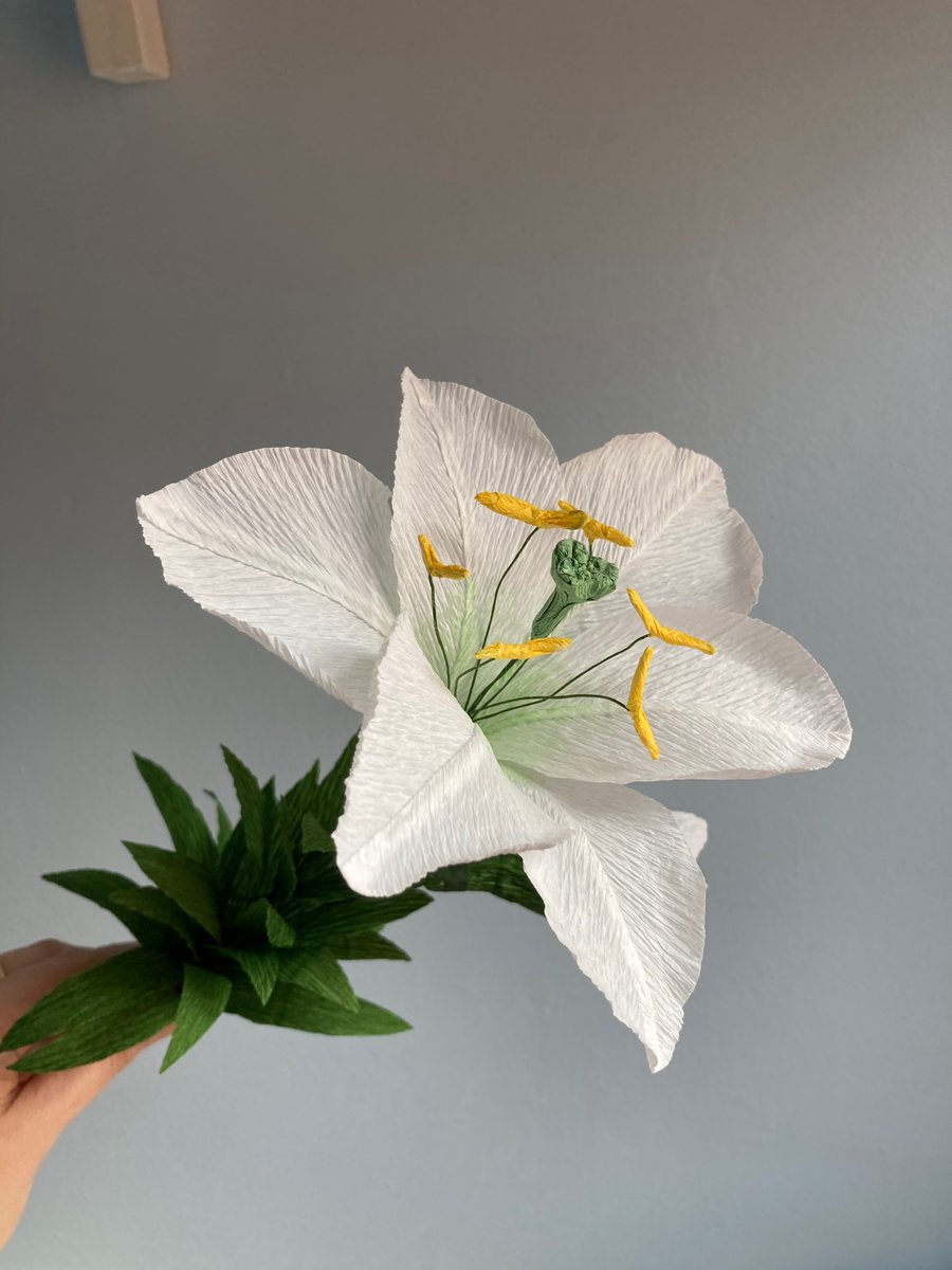 Easter Lily
