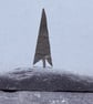 Tiny Stone Tree on a Stone Hill