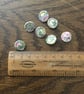 Set of 7, 12 mm, Traditional Dorset Singleton Buttons, S12 - Image 2